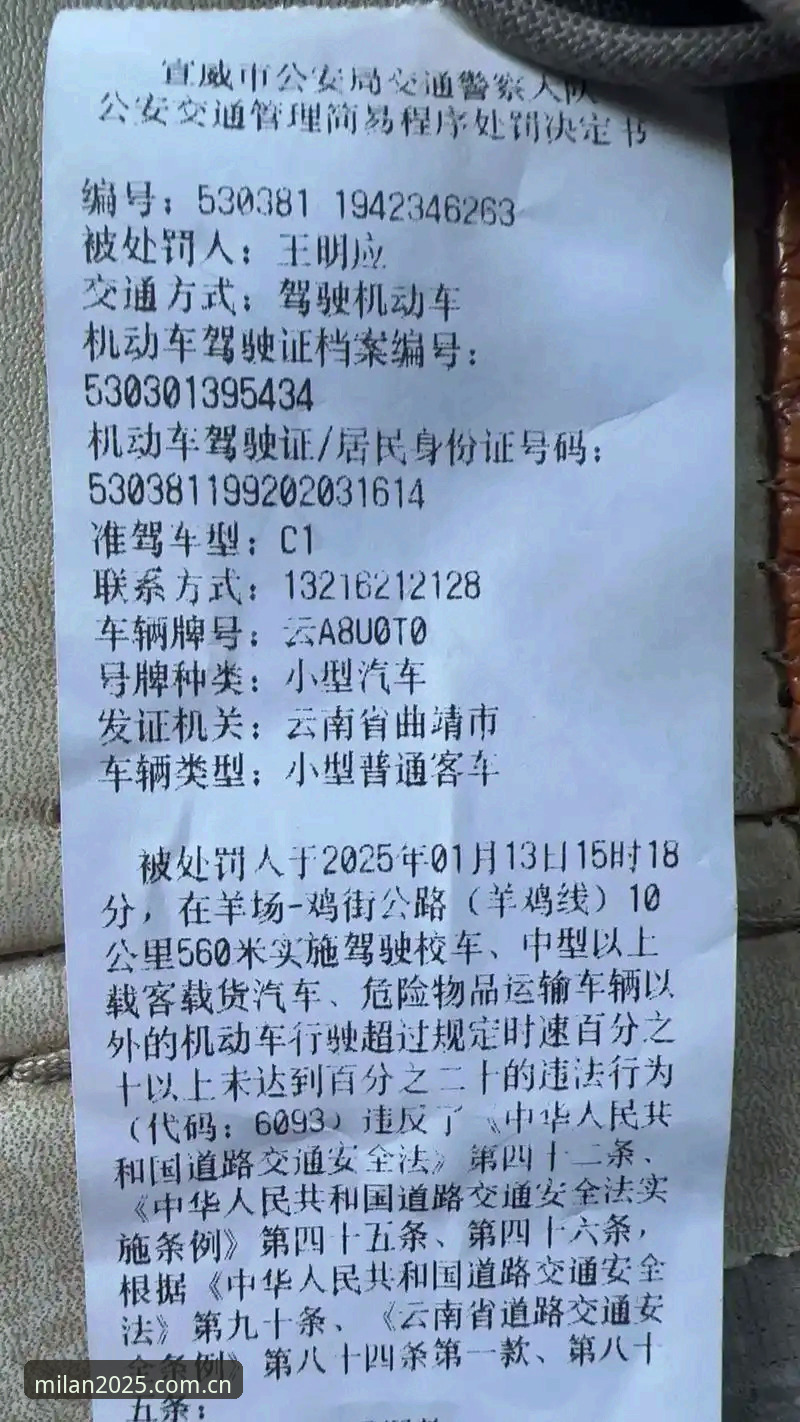 APP米兰怎么下载使用指南 资深用户复盘摩纳哥维修区超速门:0.1km/h的罚单是怎么吃到的?